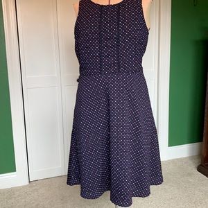 Talbots navy polka dot dress